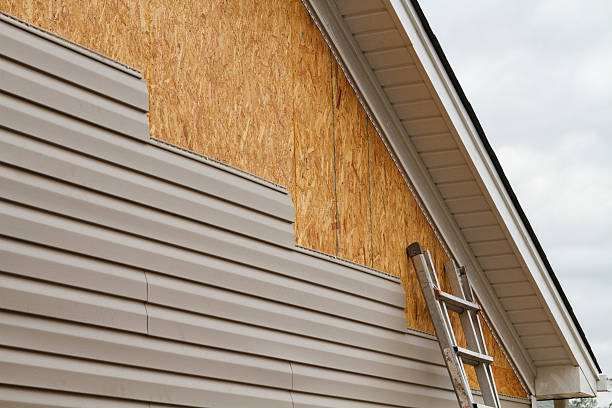 Professional Siding Installation & Repair in Rancho Alegre, TX